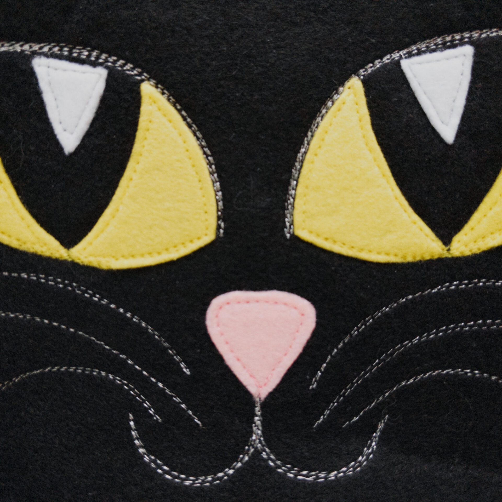 Black Cat Bag 1 Closeup of Cats Face