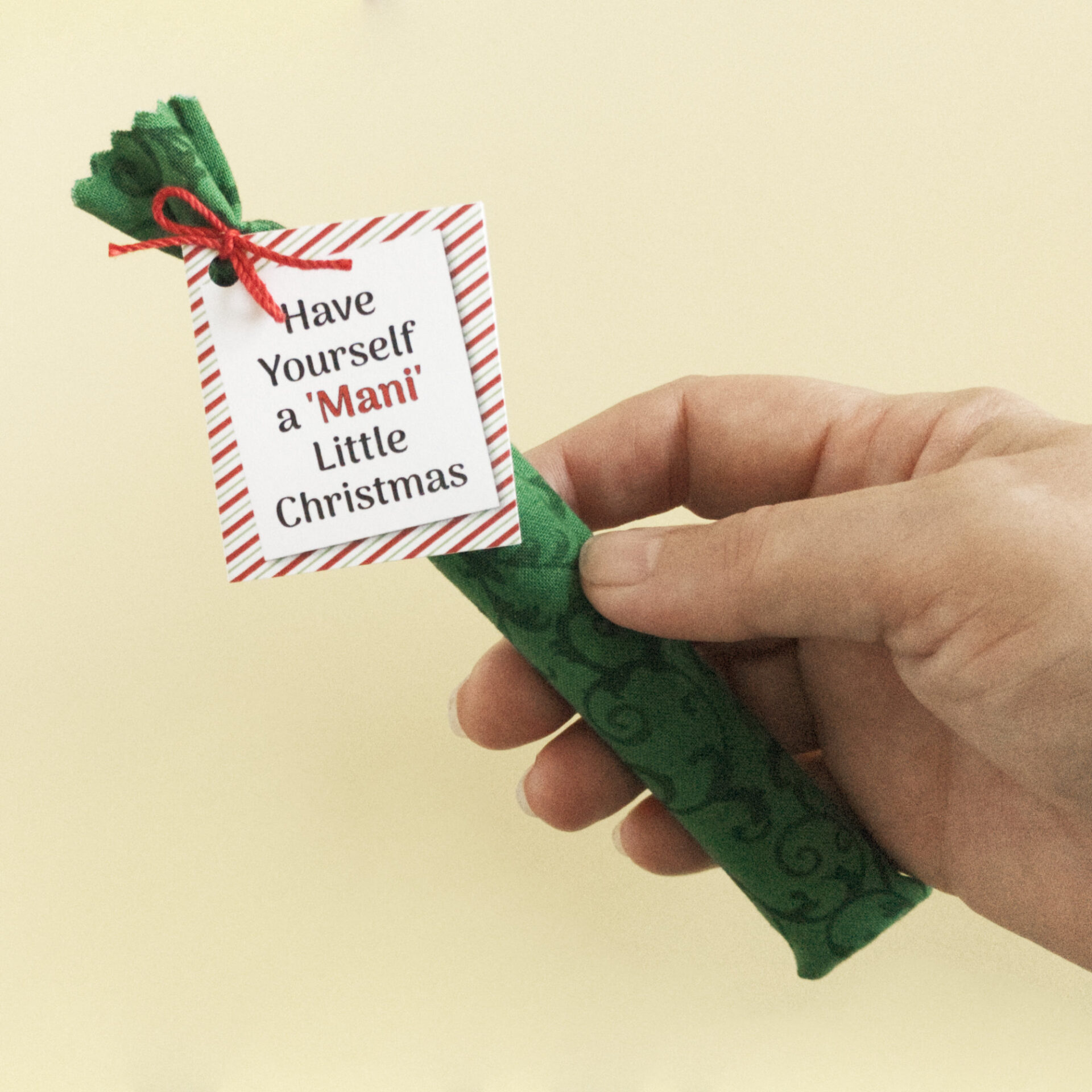 Nail File in Fabric Pouch