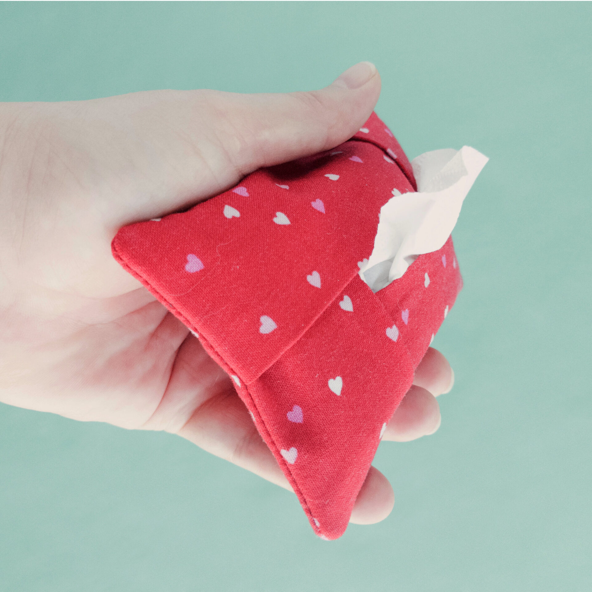 Side View of Tissue Holder