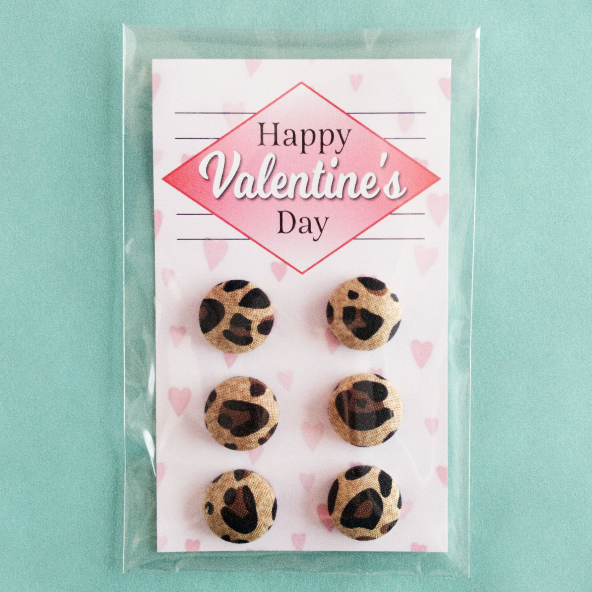 Card in a Plastic Envelope