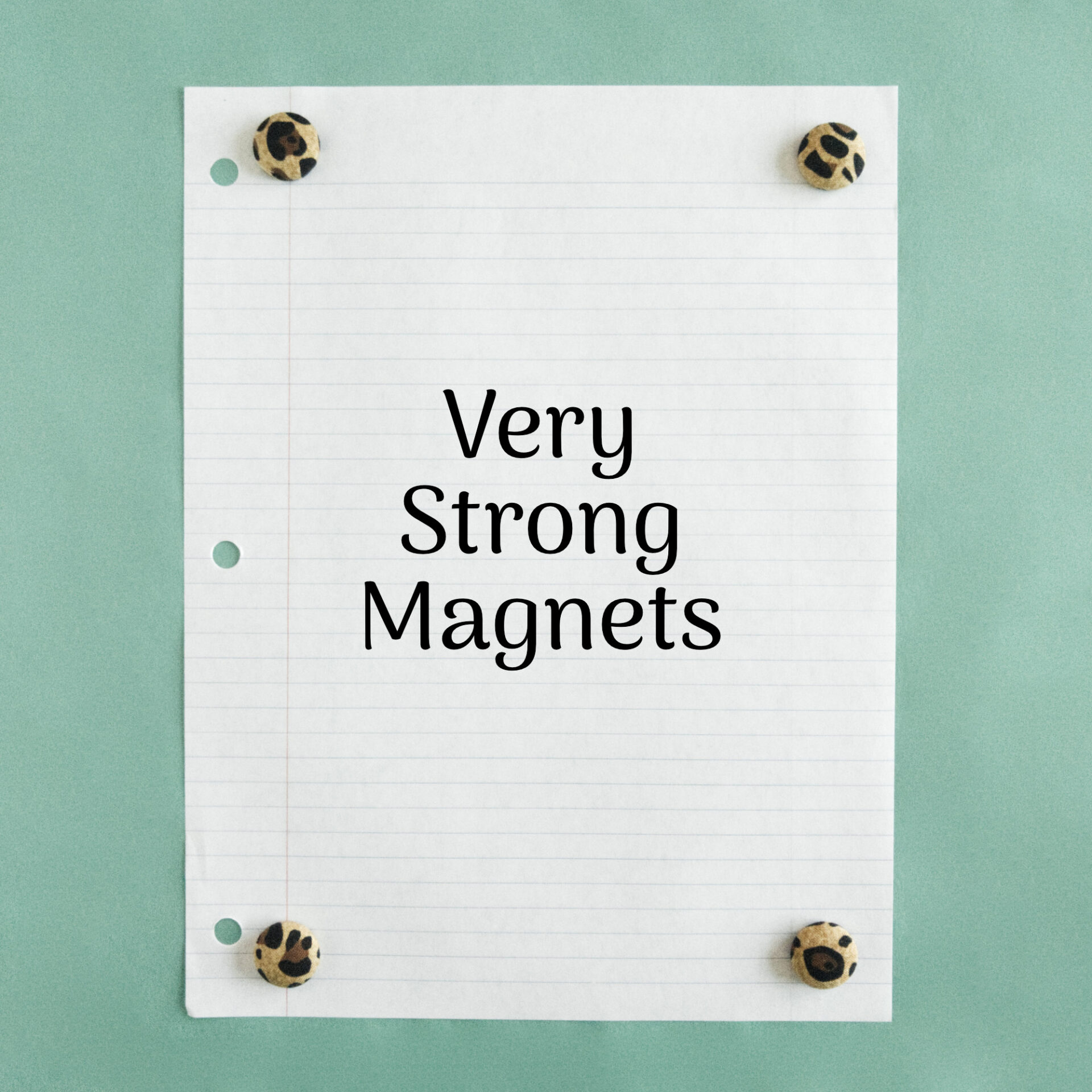 Magnets on a Sheet of Paper
