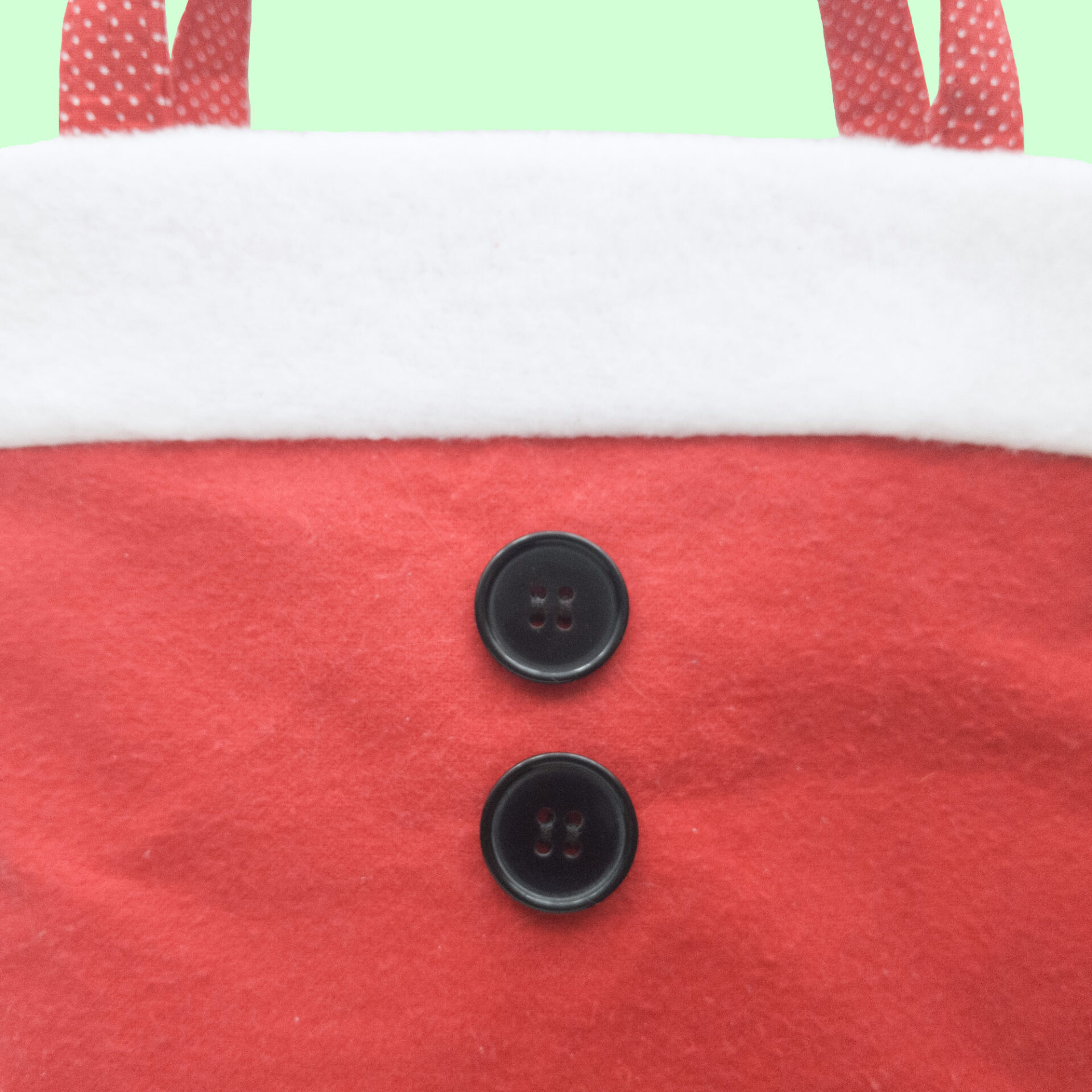 Santa Tote 6 Button Detail Closeup